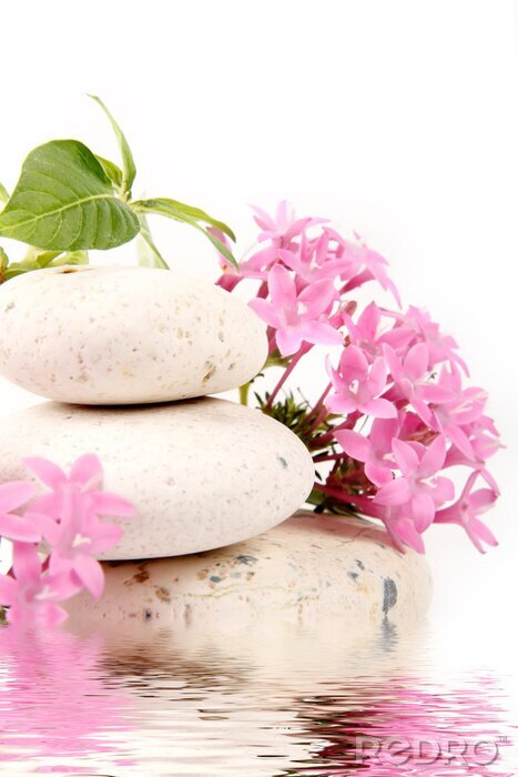 Fototapete Thermalbäder und Wellness