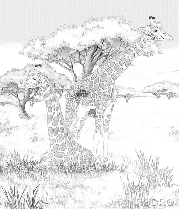 Fototapete Tiere Afrika Cartoonartige