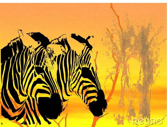Fototapete Tiere Safari Zebras und sonniger Hintergrund