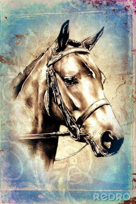 Fototapete Tierkopf-Motiv