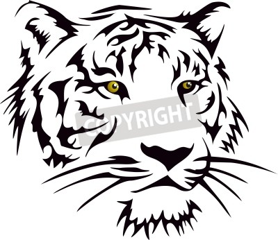 Fototapete Tiger mit gelben augen