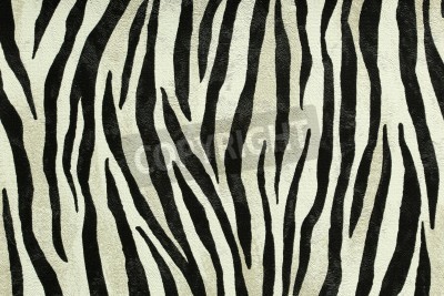 Fototapete Tiger textur