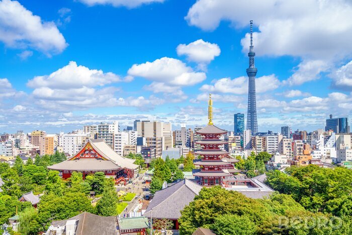 Fototapete Tokio auf sonnigem Panorama