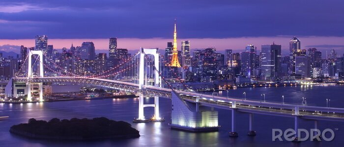 Fototapete Tokio bei Nacht