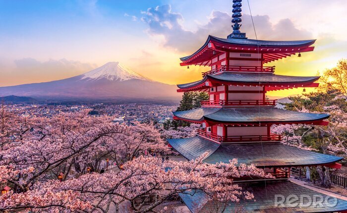 Fototapete Tokio und Berg Fuji