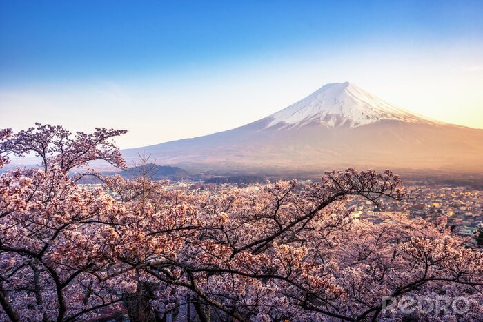 Fototapete Tokio und Berg Fuji am Morgen