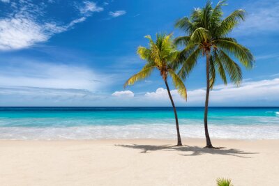 Topischer Strand mit Palmen