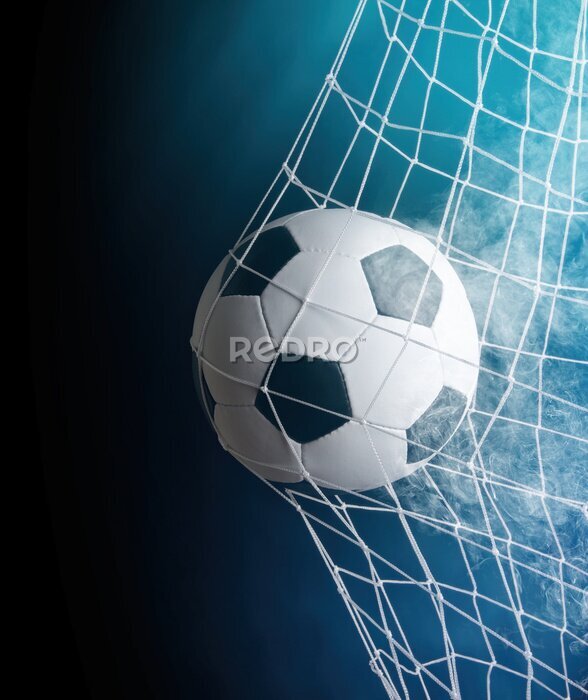 Fototapete Torball im Netz