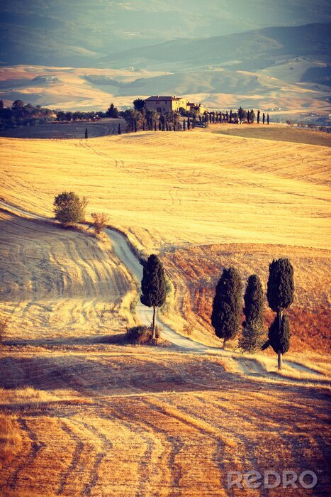 Fototapete Toskana bei Sonnenuntergang