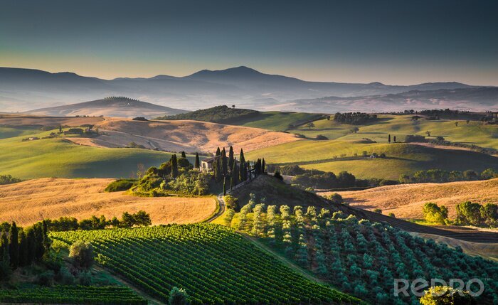 Fototapete Toskana Landschaft des Val d’Orcia
