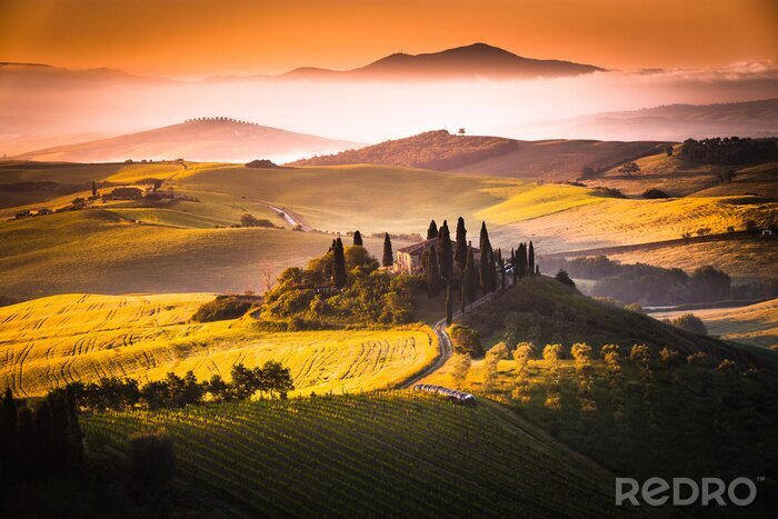 Fototapete Toskana Sonnenuntergang