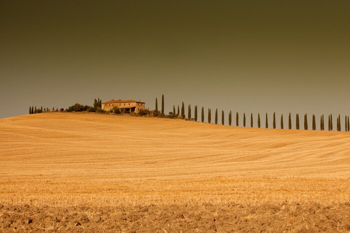 Fototapete Toskana Sturmtag