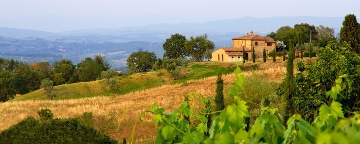 Fototapete Toskanisches Feld