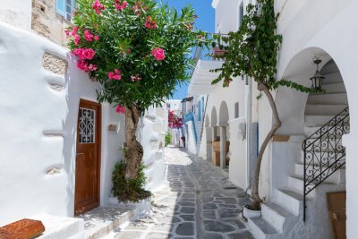 Fototapete Traditionelle weiße Gasse mit bunten Oleander Blumen und farbigen Türen auf den Kykladen in Parikia, Paros, im Sommer, Griechenland