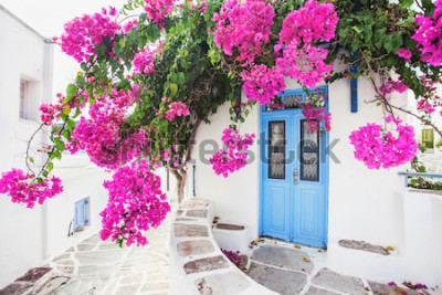 Fototapete Traditionelles griechisches Haus mit Blumen in Paros-Insel, Griechenland