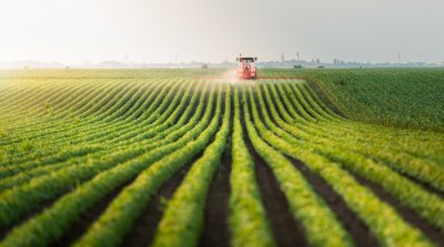 Fototapete Traktor auf einem grünen Feld ländliche Landschaft