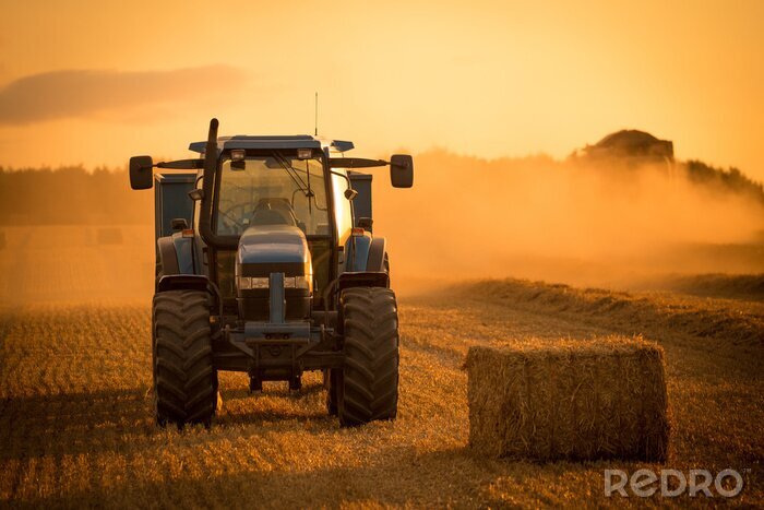 Fototapete Traktor bei der Getreidegarbe