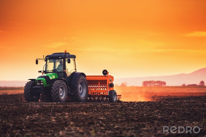 Fototapete Traktor bei Sonnenuntergang auf dem Feld