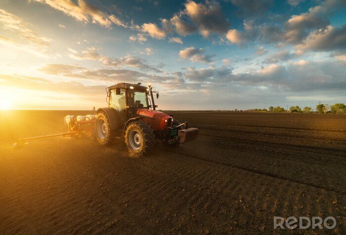 Fototapete Traktor sät das Getreide