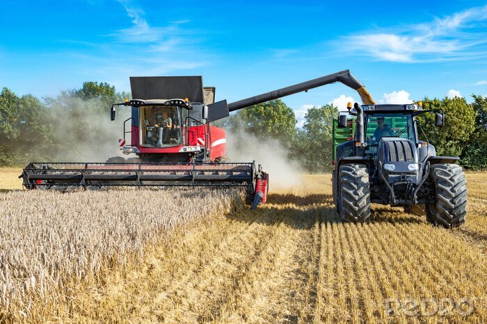 Fototapete Traktor und Erntemaschine ernten das Getreide