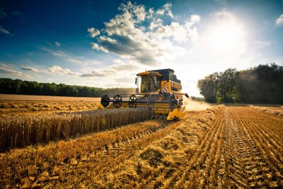 Traktor und Landwirtschaft in der Ernte