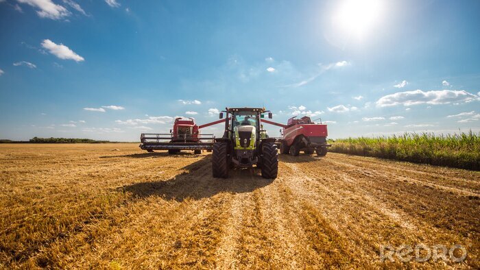 Fototapete Traktor und Maschinen in einem Weizenfeld