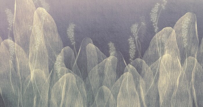 Fototapete Transparente Formen