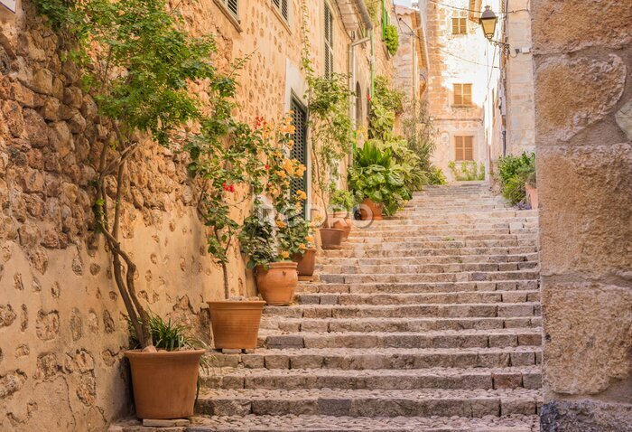 Fototapete Treppe mit Blumentöpfen in einer italienischen Stadt