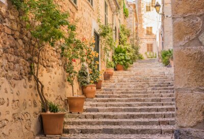 Fototapete Treppe mit Blumentöpfen in einer italienischen Stadt