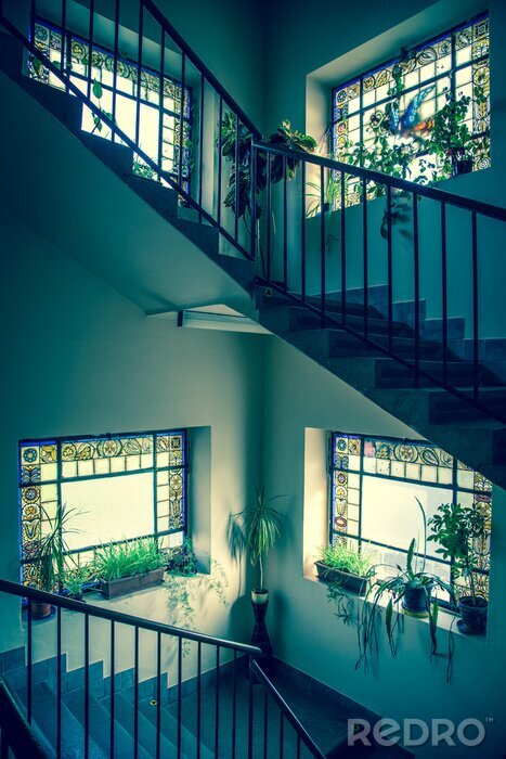 Fototapete Treppenhaus mit Pflanzen