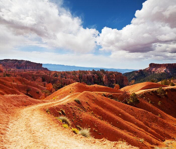 Fototapete Trockene Felder auf den Hügeln