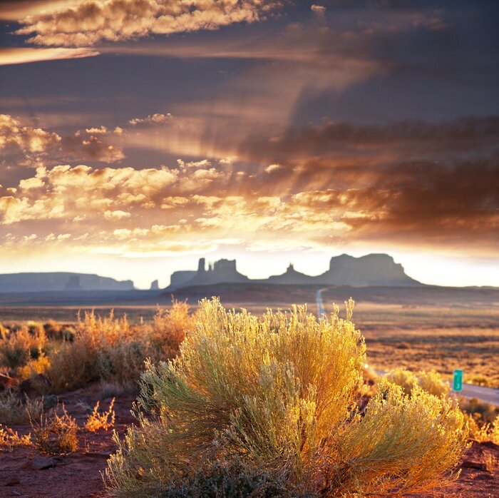 Fototapete Trockene Felder Felsen und Pflanzen