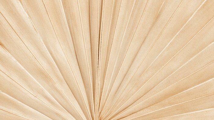 Fototapete Trockenes Palmblatt