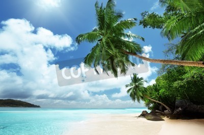 Fototapete Tropen am Strand auf den Seychellen
