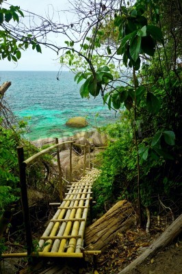 Fototapete Tropen Bambus und Ozean