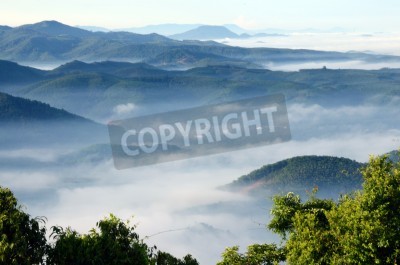 Fototapete Tropen im Nebel