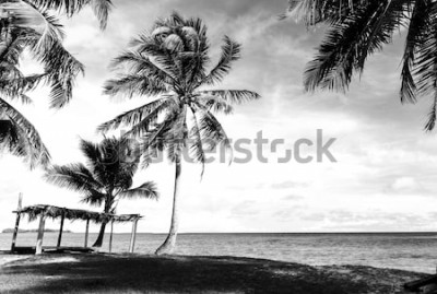 Fototapete Tropen schwarz-weiß