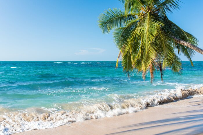 Fototapete Tropen und Karibik