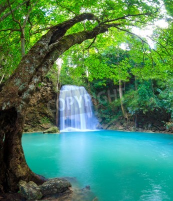 Fototapete Tropen Wasserfall und Grün