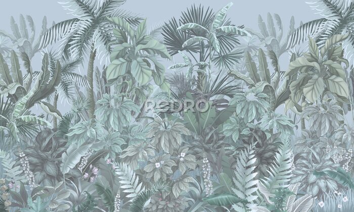Fototapete Tropical forest, jungle, blue