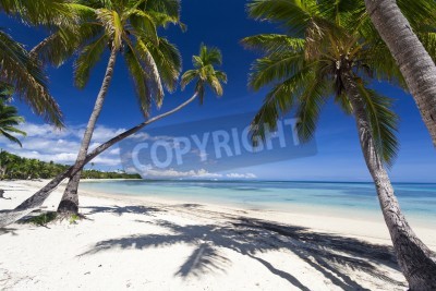 Fototapete Tropical paradise on Fiji island