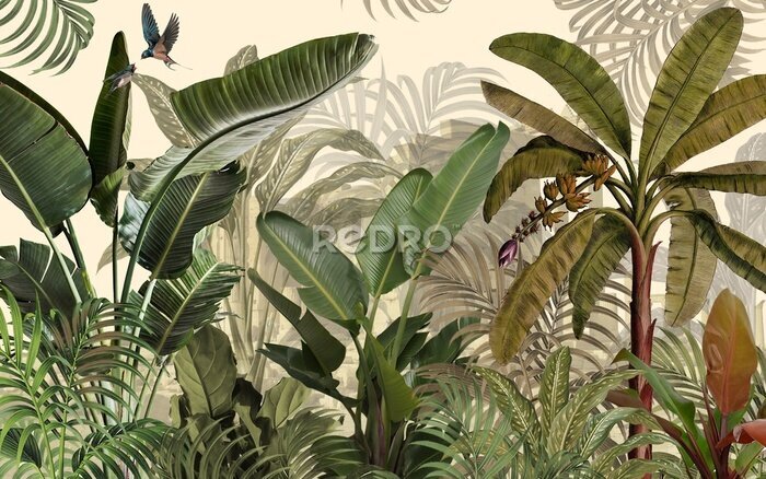 Fototapete Tropical plants wallpaper design, Jungle background, big leaf and bird, back yard, landscape, mural art.