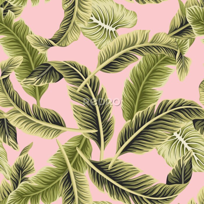 Fototapete Tropical vintage vector green banana leaves floral seamless pattern pink background. Exotic jungle wallpaper.