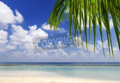 Fototapete Tropische Ansicht auf den Malediven