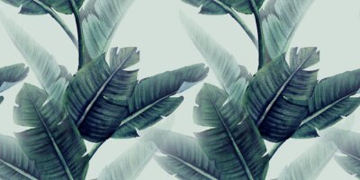 Tropische Blätter auf hellem Hintergrund