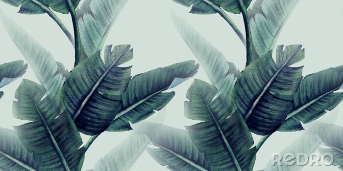 Fototapete Tropische Blätter auf hellem Hintergrund