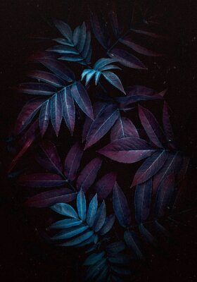 Tropische Blätter in Schwarz