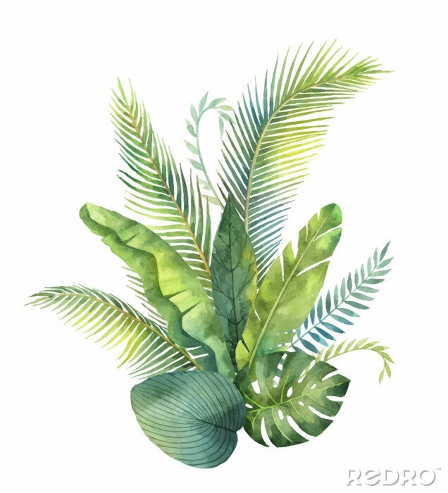 Fototapete Tropische Blätter Komposition Strauß