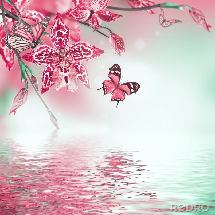 Fototapete Tropische Orchideen und rosa Schmetterlinge
