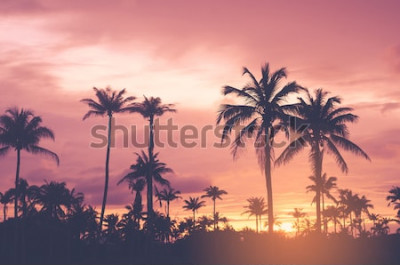 Fototapete Tropische Palmen bei Sonnenuntergang